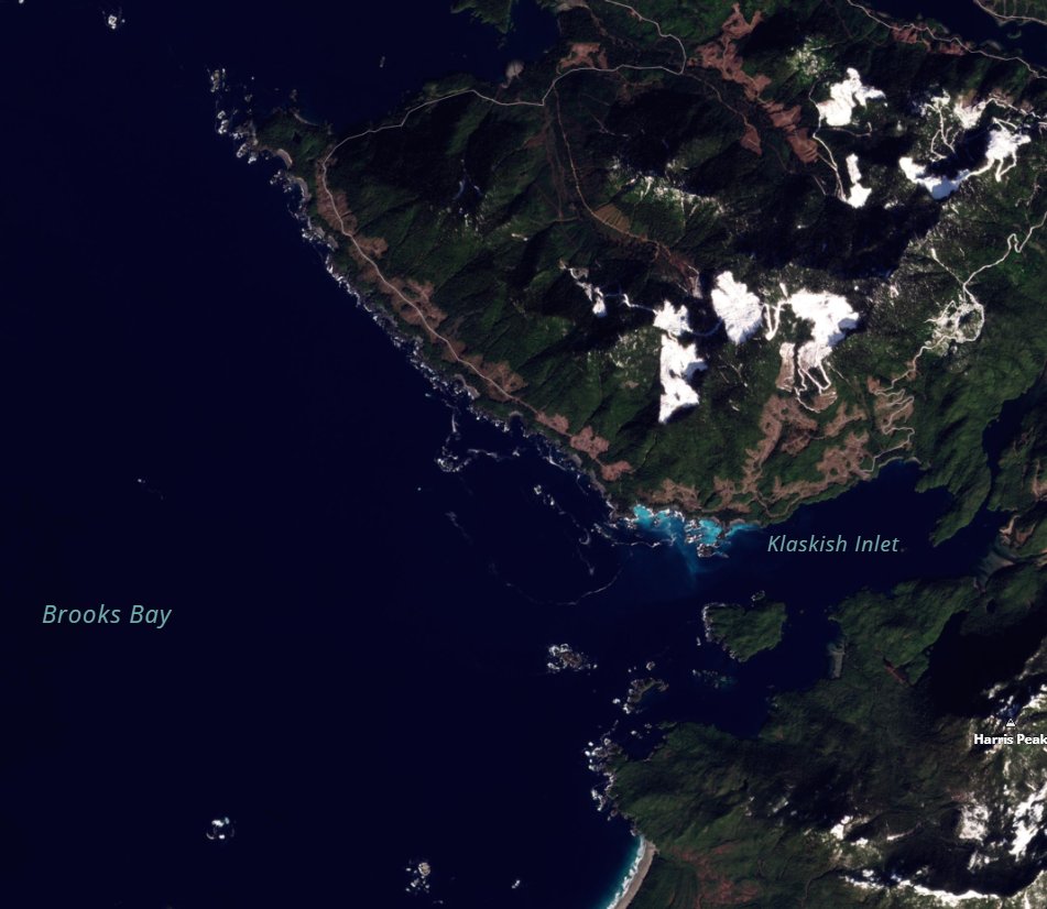 Thursday #herring highlights with Planet satellite imagery captured across #BC yesterday.

North of Prince Rupert, West Coast Vancouver Island and around Cumshewa Inlet in Haida Gwaii just glowing yesterday.