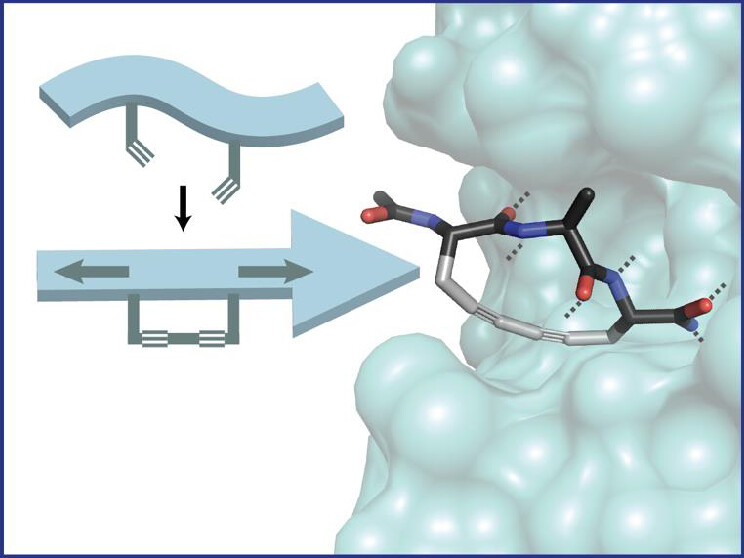 Dawson_Group's tweet photo. Excited to announce peptide stretching using diyne braces, with @AussieJohanRos
@ForliLab recently out in @ACSCentSci  #peptides #macrocycle #antibiotics @SorinaChiorean  https://t.co/cwuk53wE41 https://t.co/WBIVi1ER5d
