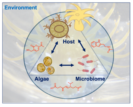 Sandra Loesgen (loesgenlab.bsky.social) tweet media