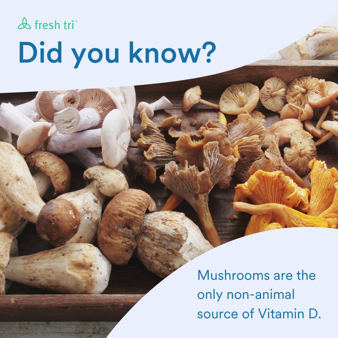 FreshTriInc's tweet image. Did you know that mushrooms are the only non-animal source of vitamin D? Add them to your diet for a boost of this important nutrient! 

📲 Download the Fresh Tri app for more "did you know" facts.

#healthyhabits #healthylifestyle #Mushrooms #VitaminD