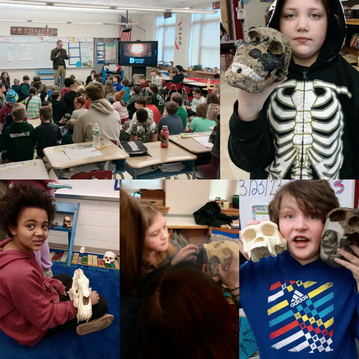 UnionVt's tweet image. On March 23rd the 4th graders welcomed Professor Jerry DeSilva, a paleoanthropologist from Dartmouth. He shared hominin fossils, and everyone was very engaged in his photos from Africa, where he returns in another two weeks to do some more digs in caves. Good luck!