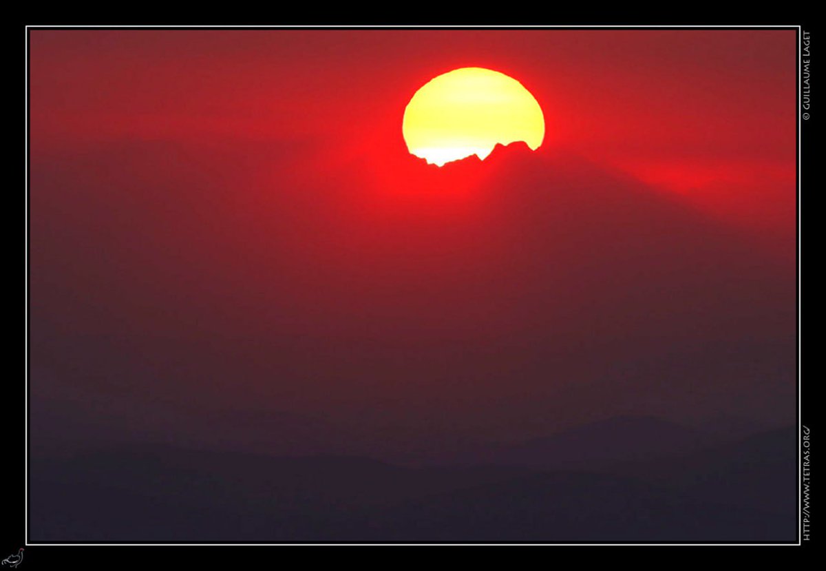 GLaG_38's tweet photo. lever de soleil derrière @ledevoluy (Grand Ferrand), vu depuis le Mont Aigoual (Cévennes) cet été.

#Cevennes #devoluy #Gard #Isere #photography https://t.co/dYWlKPbyrE