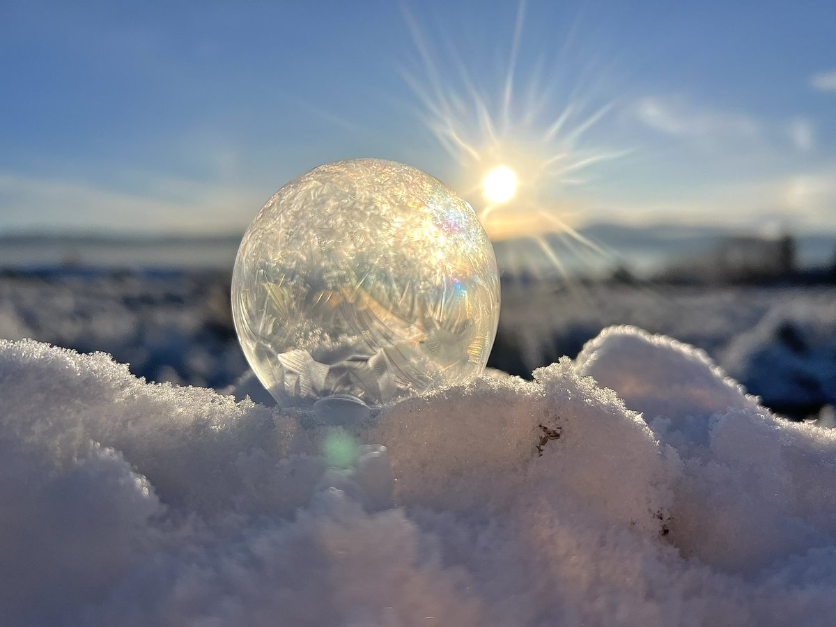 rikyd_smith's tweet photo. Magical🪄 #frozenbubbles #rainbow @WeatherNation #foglayer 
Beautiful but ready for Sun! https://t.co/JszLAzZZTq