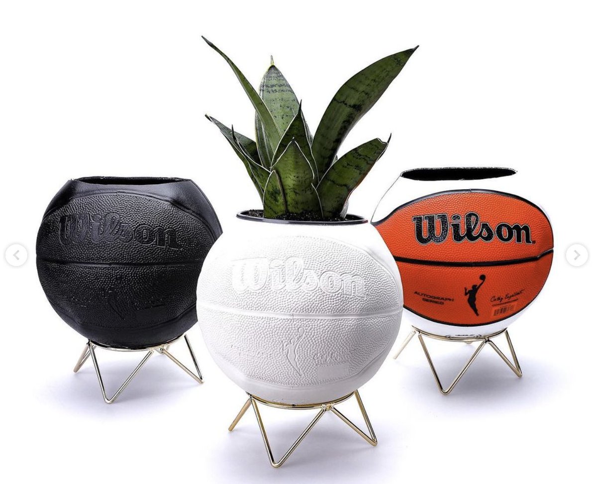 SamSobolewski's tweet photo. Looks like a lot of cool people are doing fun collabs to celebrate the game, so I figured I'd highlight them when they come up on my feed.

@thegiveandgrow has a WNBA collection of their rad planters https://t.co/gr0QyDAb1A