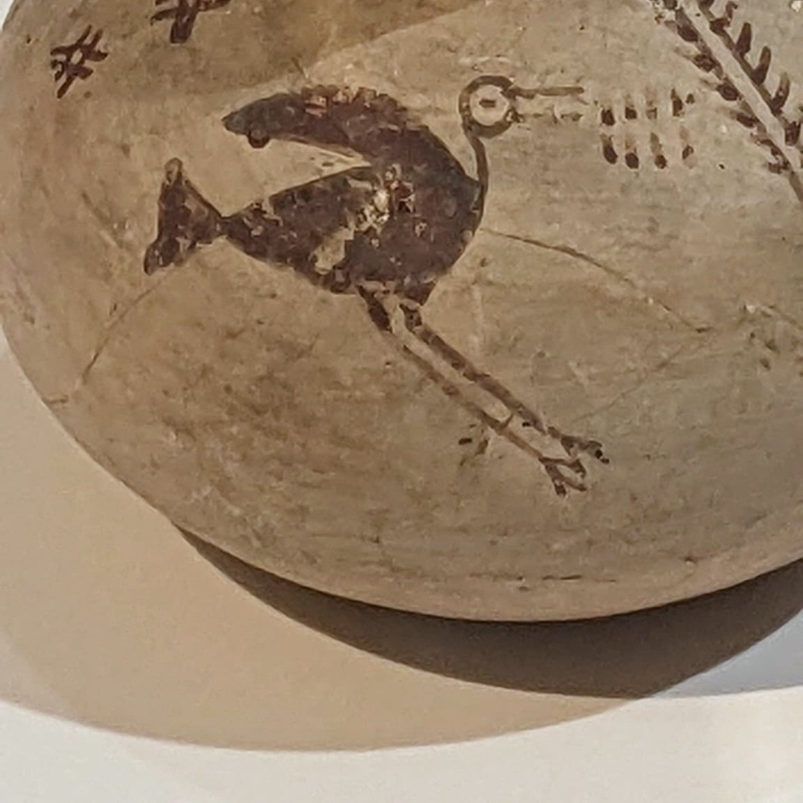 _vickywhite's tweet photo. It could just be coincidence but my eagle-eyed other half noticed that the marks next to this bird's beak look eerily like the sonogram for the alarm call of a Black-winged Stilt (Himantopus himantopus)... @FitzMuseum_UK @AshmoleanMuseum @AChristophilop1 @UCamArchaeology https://t.co/GCIUFnL7lL