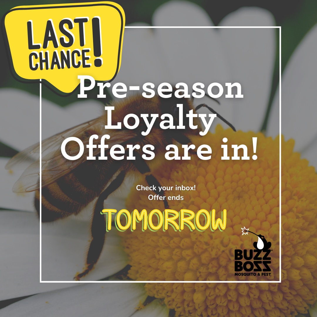 realbuzzboss's tweet photo. Fellow Buzz Boss Subscribers! ๐ฃ
Last chance to check your inbox, as our Pre-season Loyalty offers are set to expire tomorrow!
Dont wait! Grab your loyalty offer today! #BiteBackWithBuzzBoss #BuzzBoss #SpecialOffer #LoyaltyOffer #PestControl https://t.co/sZl1dgnqjd