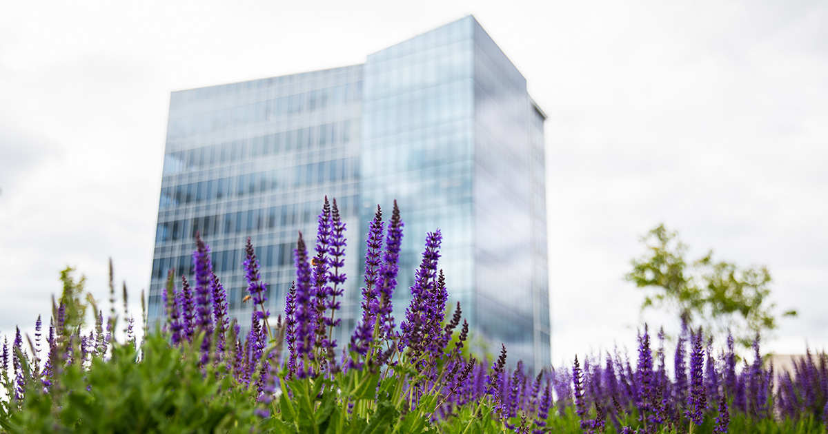UDCHS's tweet photo. We hope everyone is having a wonderful #UDSpring break so far -- relaxing and reconnecting with family + friends.
We can't wait to see our #BlueHens back on #UDel's campus as everything starts blooming next week!
#UDIsThePlace #netDE #SpringBreak https://t.co/B7aTrGuVeH