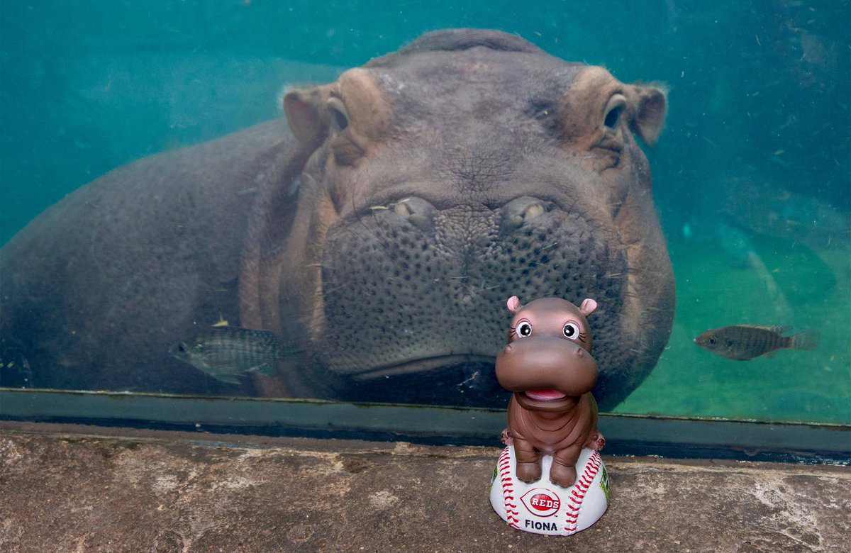 Throwing it back to Fiona's favorite @Reds moments! #RedsOpeningDay #TeamFiona