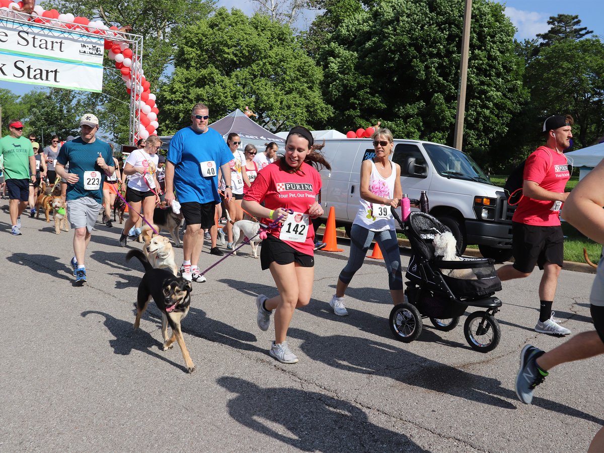 hsmo's tweet photo. Have you registered for Bark in the Park yet? Join us on May 20 in @TowerGrovePark! All your favorite activities are back, including the 5k race, 1-mile walk, and pet festival for you and your furry friends to enjoy 🐾 #HSMOBark

Register: https://t.co/0CIYheMHt5 https://t.co/Fk2XYI6ONo