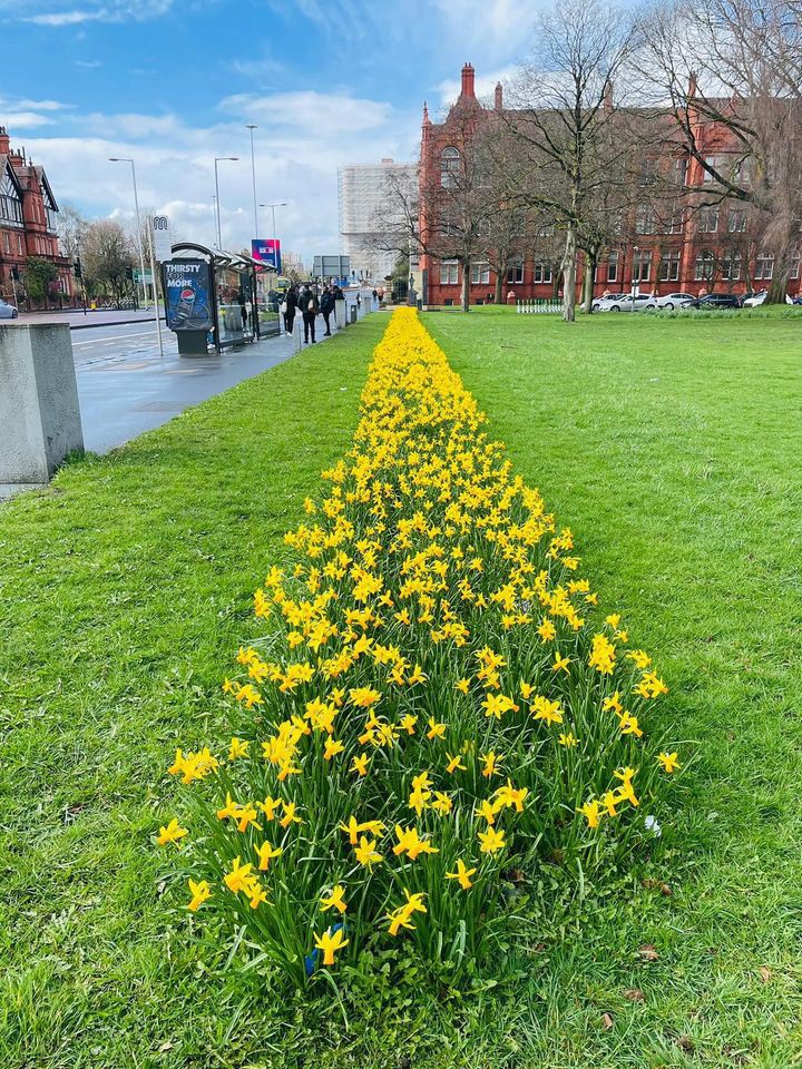 UoS_Students's tweet photo. Does February like March? No, but April May π€
Big thanks to Imad for sending these marvellous spring pics of Peel Park campus for #FeatureThursday!
#SalfordStudents #SalfordUni #UniOfSalford https://t.co/Ldu0cD1nHH
