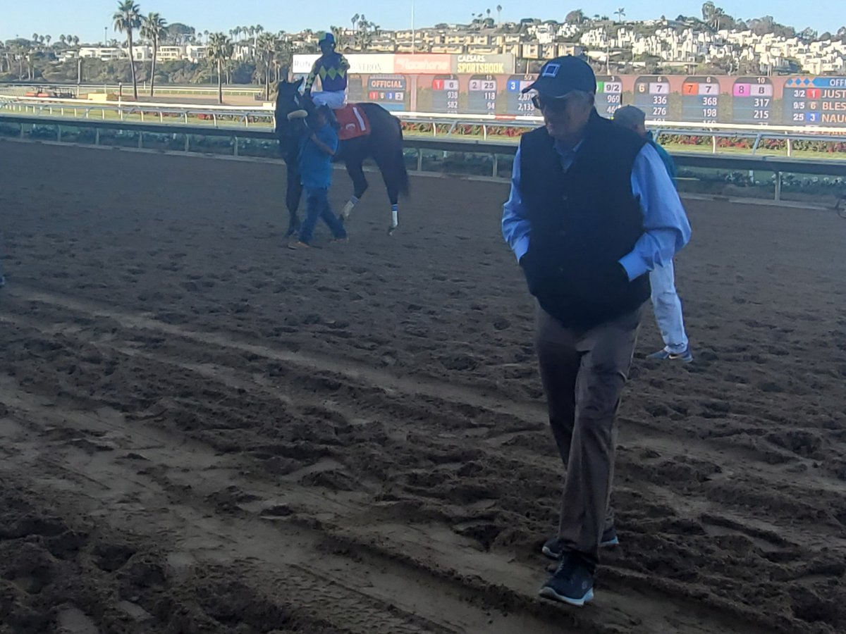 sdhorserace tweet media