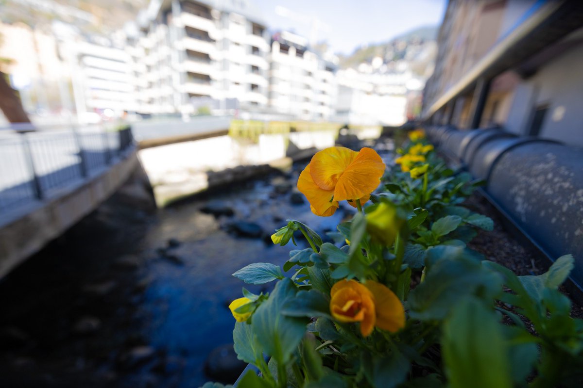 comuee's tweet photo. 🌺La primavera ja es viu a Escaldes-Engordany. 

Les flors embelleixen parcs i carrers i ens transmeten felicitat.

Espais més verds. Carrers més saludables.

#EscaldesEngordany
#Andorra 
#LlavorsDeSostenibilitat https://t.co/GaEgIYN8DT