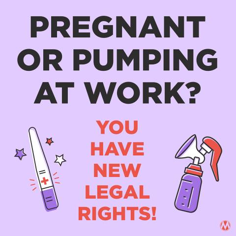 If you are pregnant or pumping at work, read about your new legal rights under the Pregnant Workers Fairness Act and the PUMP for Nursing Mothers Act in this <a href="/MomsRising/">MomsRising</a> blog: bit.ly/3LMc1rz

Image from: <a href="/MomsRising/">MomsRising</a>