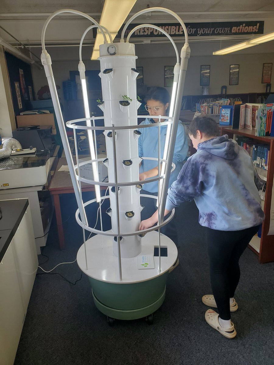 ACzern920's tweet photo. 5th graders were so happy to help with our first harvest!!!!  Lettuce to go on our delicious sub sandwiches and burgers!!!  And setting more seeds for an end of the school year harvest too!!!
#towergarden #vvsdlearns https://t.co/WokPYa4bQz