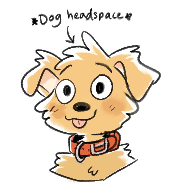dexidoodles's tweet image. When you wear a collar and someone grabs it🥲