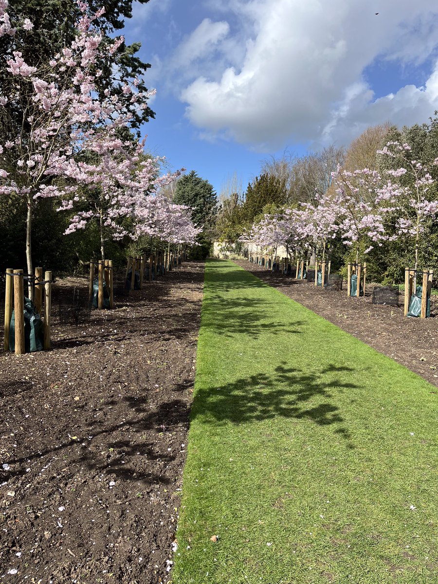 Gill H-M tweet media