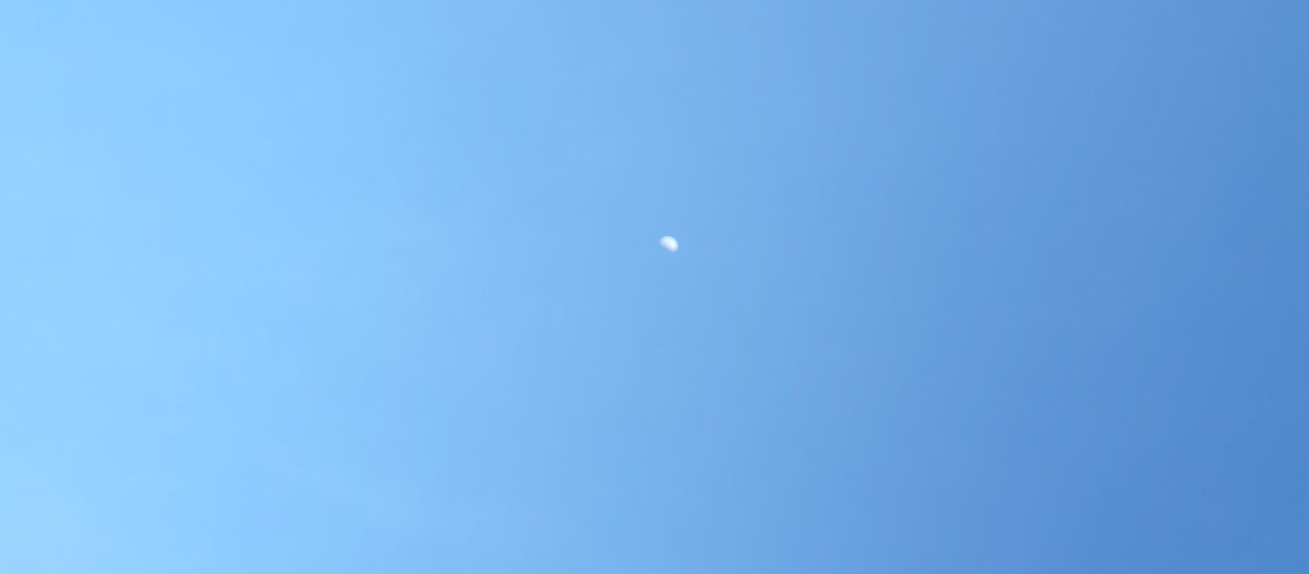 kuca_postignuca's tweet photo. @DailyPicTheme2 #Mininal just now 🌛🥰 https://t.co/MjdRfsEHG4