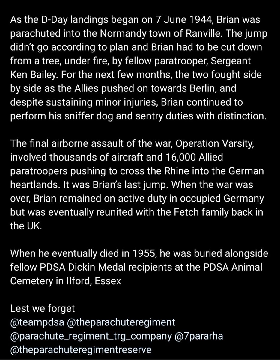 29th March 1947 Paratrooper MWD Brian aka Bing was awarded the PDSA Dickin Medal for excellent patrol work and qualifying as a paratrooper, Airborne Division, Normandy, June 1944
@PDSA_HQ @TheParachuteReg @2PARA_HQ @3PARA