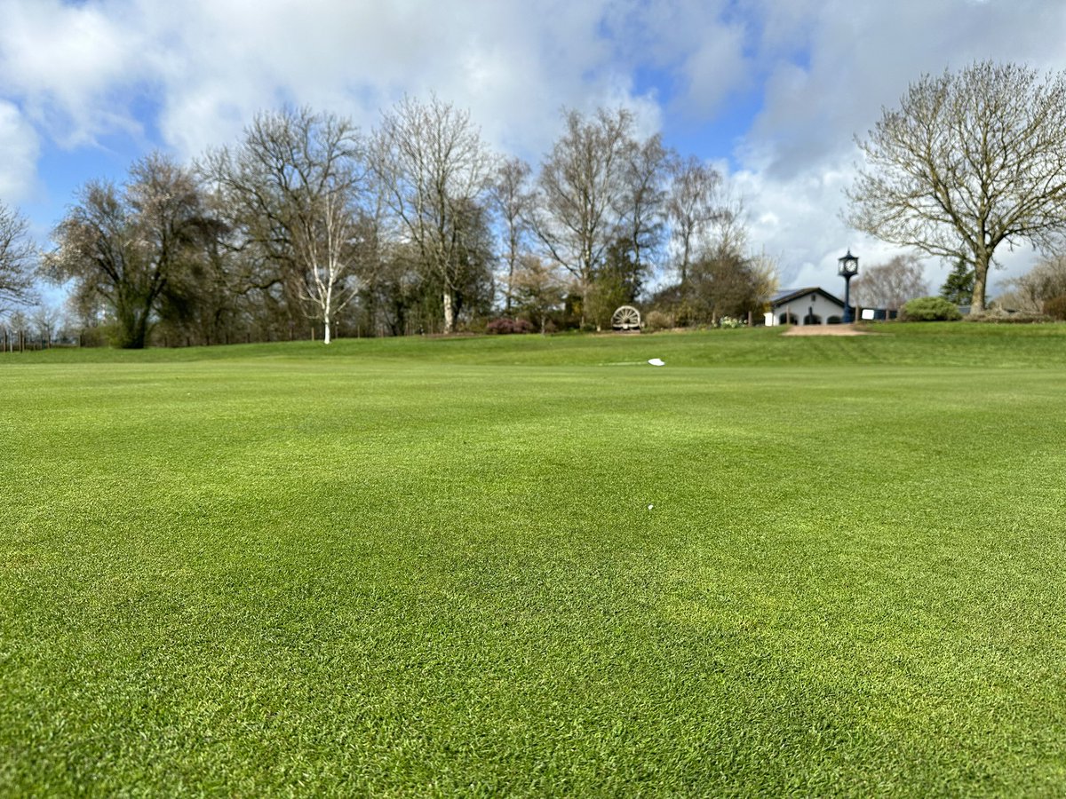 JamharrisonJh's tweet photo. A bit of disease arrived late on after a great winter but over all happy with the coverage as we enter the start of the season ⛳️ #golf #course #greens https://t.co/SakC1EkQIp