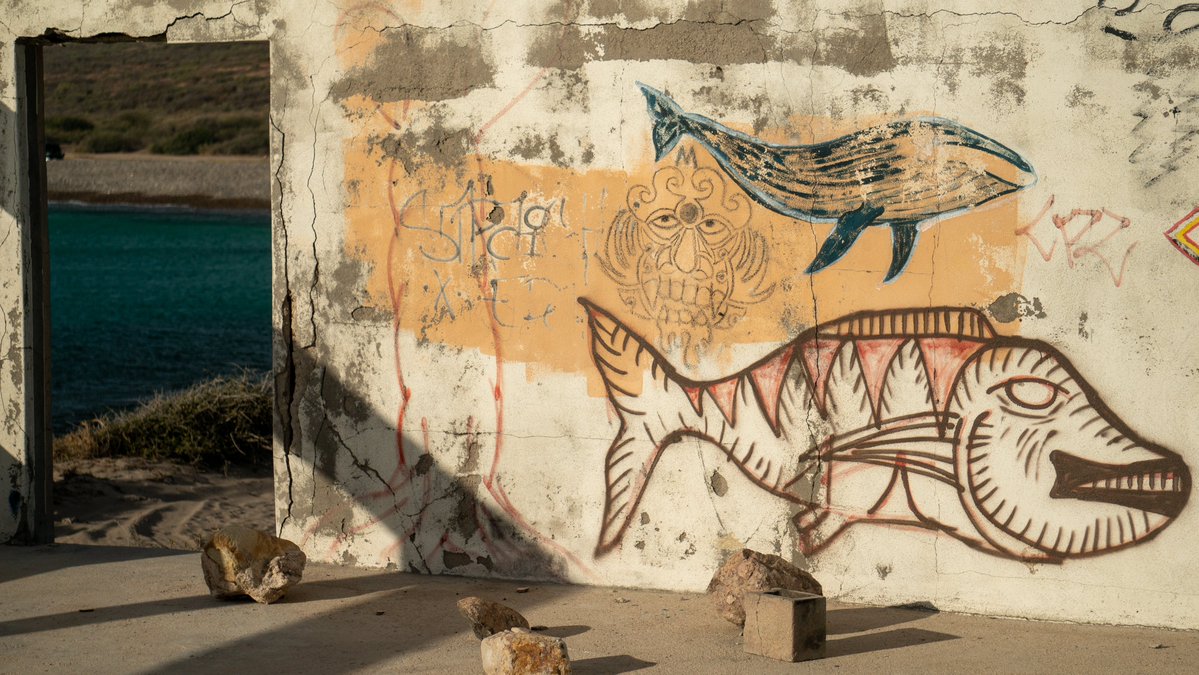 mataiblacklock's tweet photo. GM to everyone who believes that "fine art" can be whatever we want it to 🖼️🎨🖌️
Scene from an an abandoned building in #CaboPulmo Baja, MX we found on the @kiftlife caravan 🇲🇽
p.s. #freeTokitae @WaveWarriors_ @salishcenter @ACHart_Art @rachelwilkinsb #friendsoftoki 🐋 https://t.co/3BHouASE8F