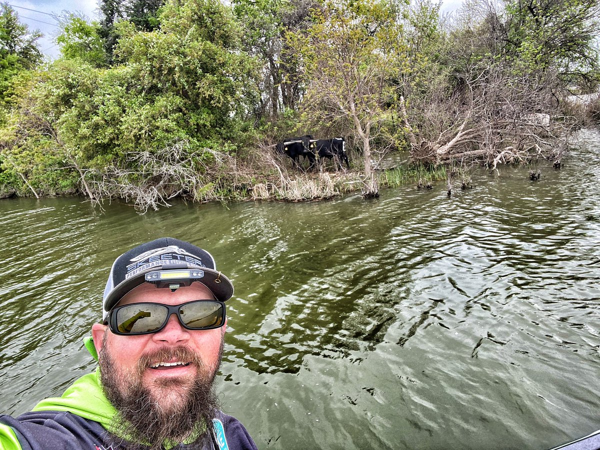 mrgaines_sciguy's tweet photo. We got cows! Who knows the movie reference? #cows https://t.co/2xAh9O7PlE