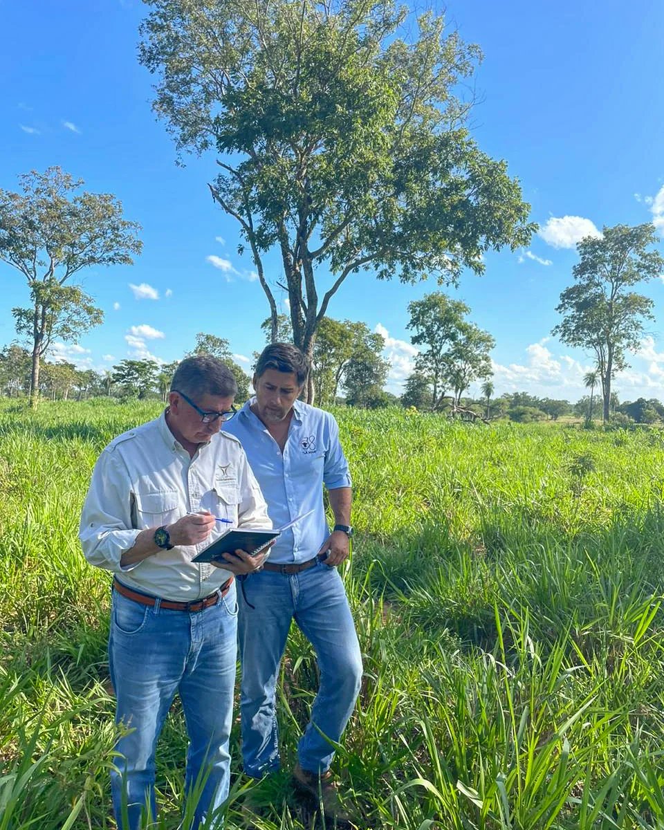 Nuestros Directores Dr. José Frutos Porro y  Dr. Adolfo Pereira Ramirez en plena recorrida y verificación de potreros ✅️

La Planificación es el punto de partida para llegar a los resultados deseados.