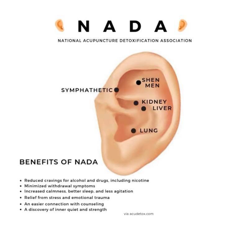 I have used the NADA protocol to help patients with smoking cessation, many times with great success!
🍃 5 ear points: Ear Shen Men, Sympathetic, Lv, Kd &amp; Lu.
🍃 For more Check out the NADA website: acudetox.com
#acupunctureheals #acupuncturerocks #acupuncture