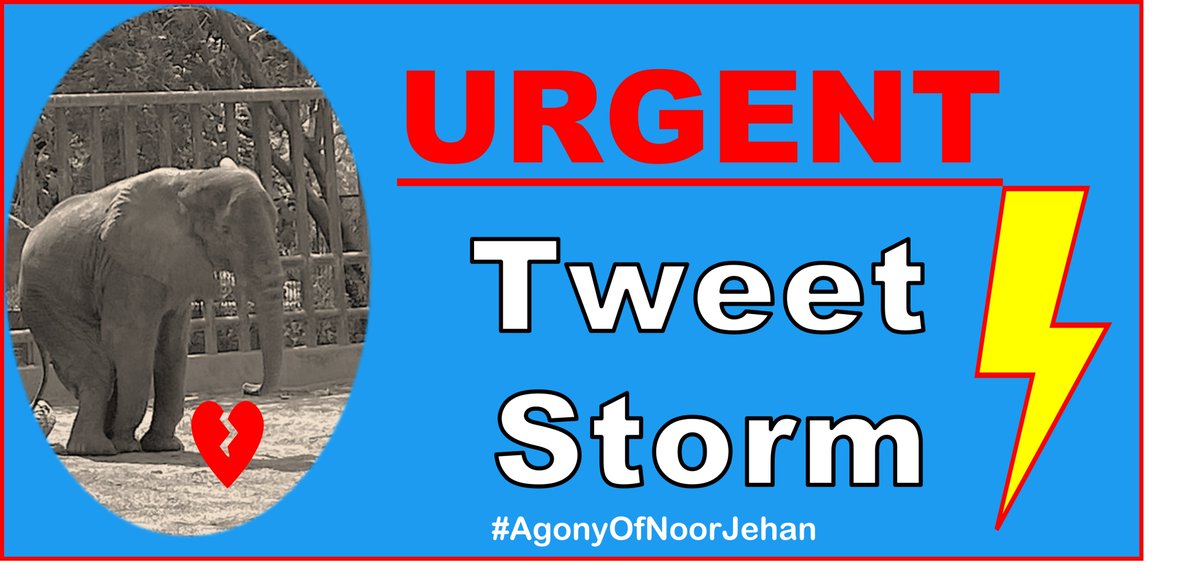 Join the Tweetstorm to help end the #AgonyOfNoorJehan 🐘at #Karachizoo in #Pakistan  Automated click to tweet sheet here 👉 sites.google.com/view/agonyofno…