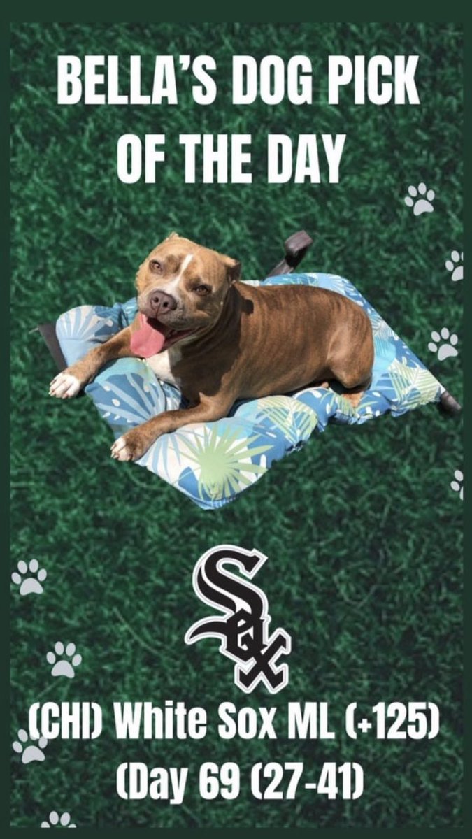 TheLocksOTD's tweet photo. 🐶BELLA'S DOG LOCK OTD🐶
‼️Overall Units +1460‼️
🔥BELLA IS HOT🔥
⚾️(CHI)White Sox ML (+125)
#mlb #openingday #whitesox #baseball #mlbpicks #mlbprops #freebet #freepicks #gamblingtwitter #prizepicks #bella #dog #dogs #doggy #dogbet #fanduel #draftkings #betting #bets #bet https://t.co/S7zcqcYQcO