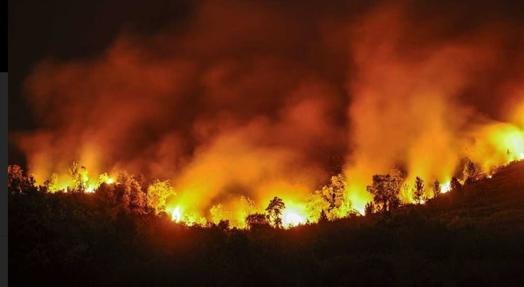 FichajesRSG's tweet photo. ¡Asturias no arde, Asturias la están quemando!
Ojalá ardan en el infierno los causantes de esta tragedia, hijos de puta. https://t.co/qaOpF7Co9u