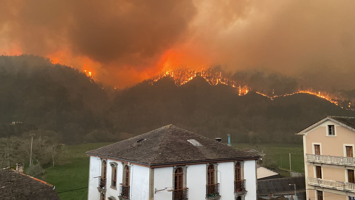 FichajesRSG's tweet photo. ¡Asturias no arde, Asturias la están quemando!
Ojalá ardan en el infierno los causantes de esta tragedia, hijos de puta. https://t.co/qaOpF7Co9u