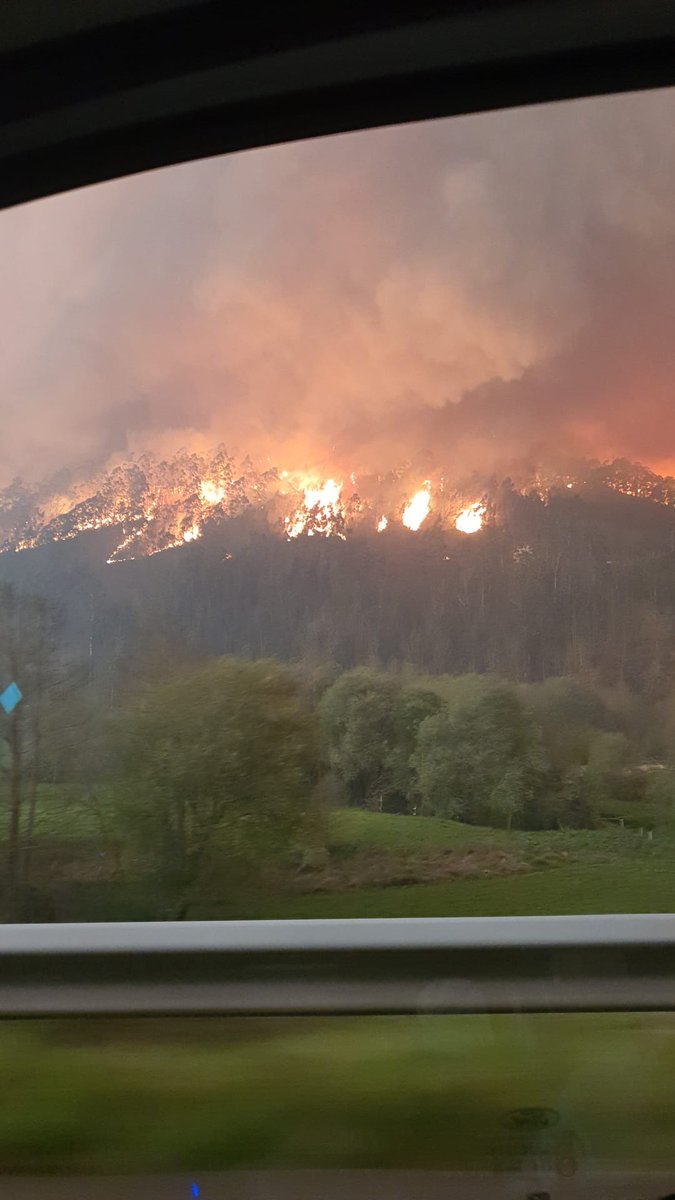 FichajesRSG's tweet photo. ¡Asturias no arde, Asturias la están quemando!
Ojalá ardan en el infierno los causantes de esta tragedia, hijos de puta. https://t.co/qaOpF7Co9u