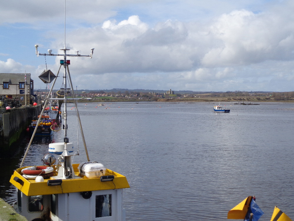 KnipeMike's tweet image. Had an amble around Amble.  Rain stopped, sun came out, got a bit warm for a few minutes....