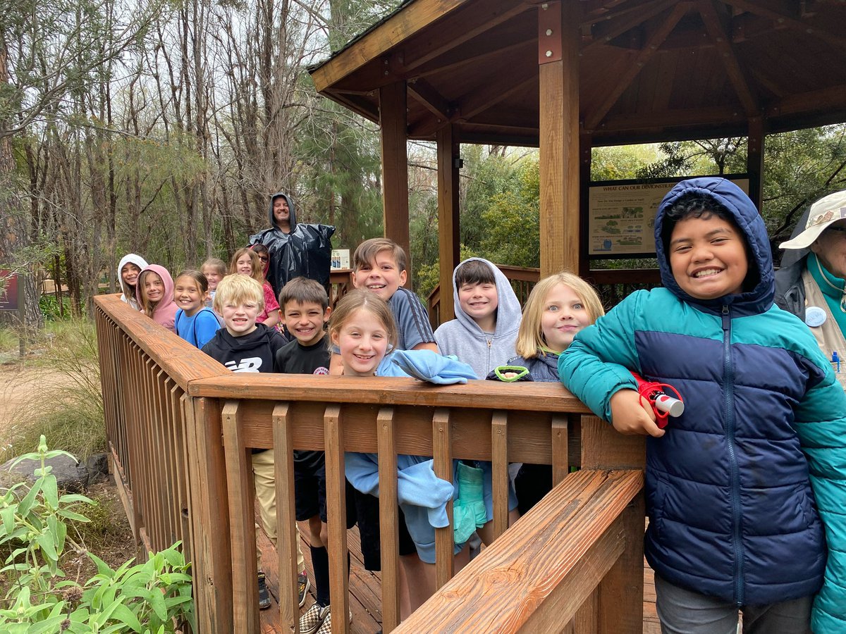 Towne Meadows tweet media