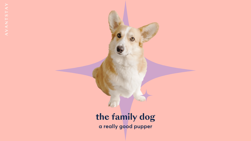 AvantStay tweet media