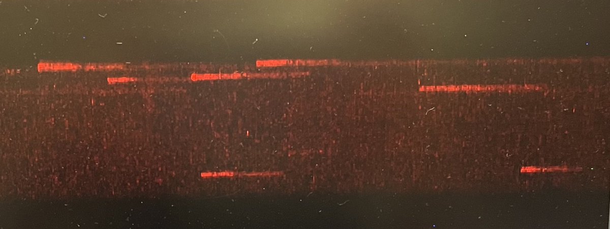 Made our first ss DNA and saw binding of SSB AF 647 with the c-trap today🎉 Sometimes it’s the small things that bring you joy (literally) <a href="/LUMICKS_nl/">LUMICKS</a>