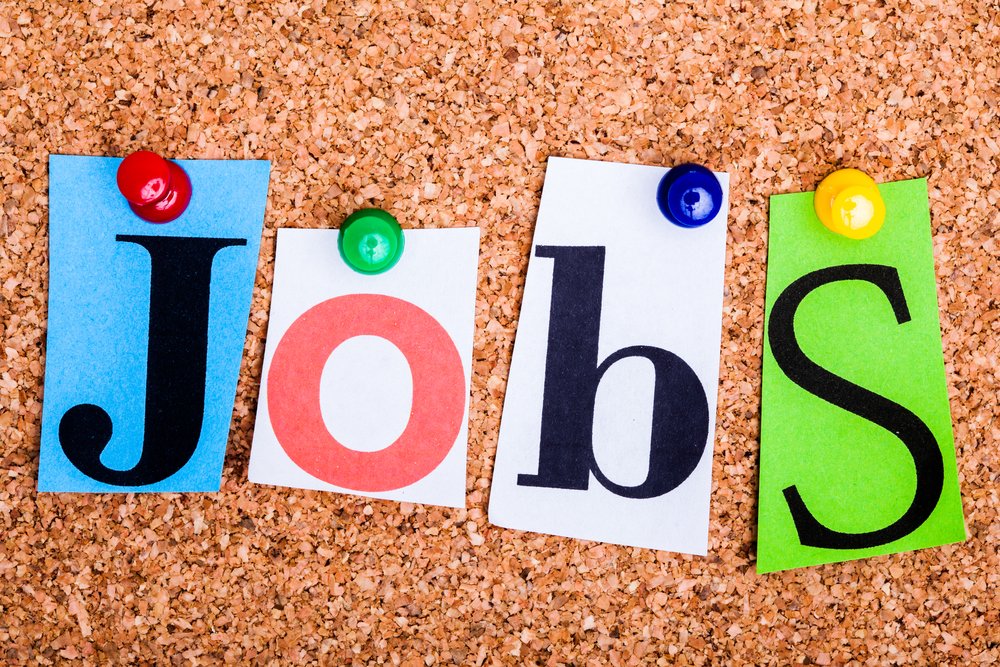 Have you viewed the ANZAHPE Jobs Board this week? There are multiple job opportunities available at Curtin University, The University of Adelaide and within Tasmanian Health. Click here to view further details: anzahpe.org/Jobs-Board
#education #jobs #jobopportunities