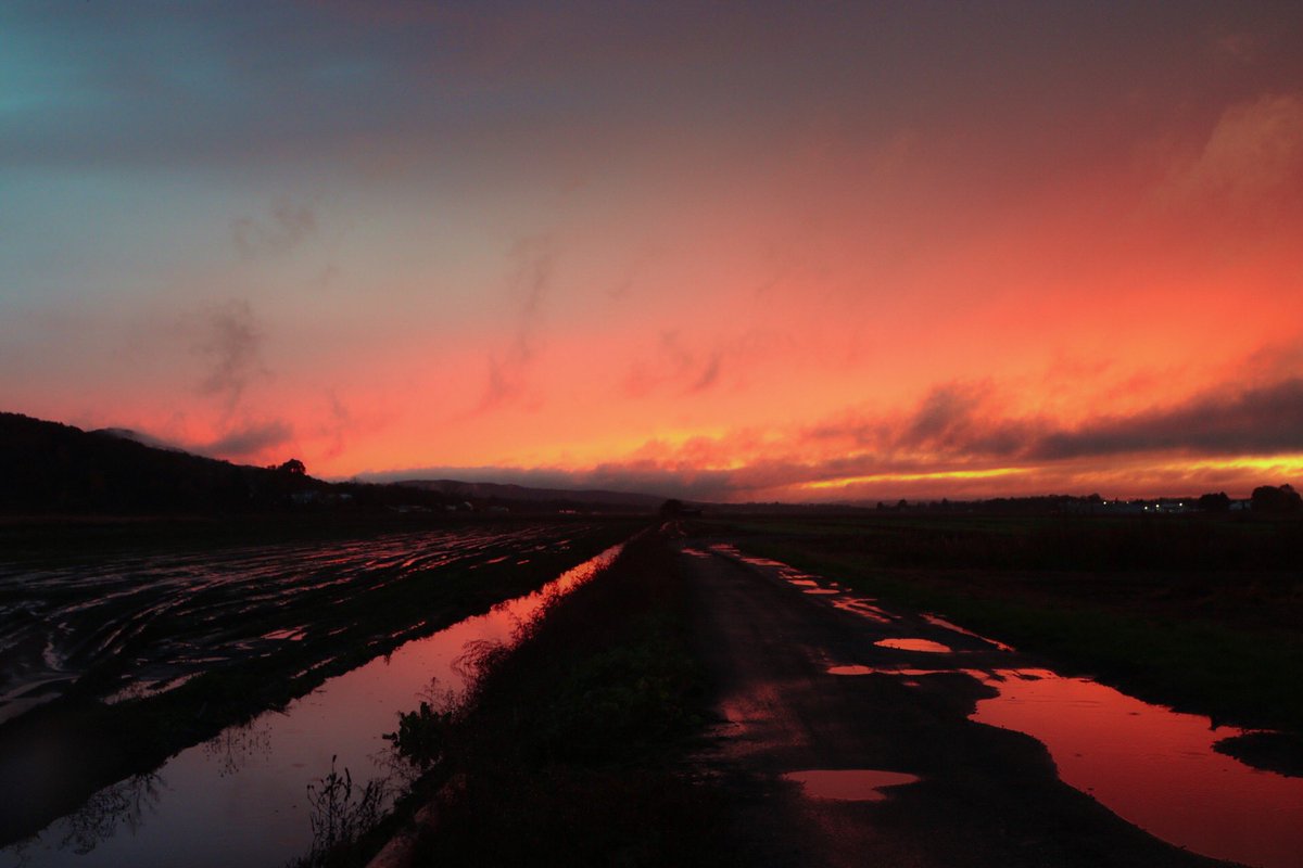 Snowgoon tweet media