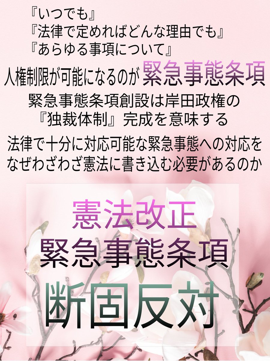 shiba19161's tweet photo. 諦めたらそこで終わり。
声を上げよう！

憲法は国民の権利・自由を守る為に国民が定めた最高法規で国家権力を制限する為にあります。
現在私達が憲法を意識しなくても生活出来るのは、その憲法のおかげ。

#分断ではなく団結を
#戦争反��
#改憲発議反対
#緊急事態条項追加反対

@kishida230 
@kantei https://t.co/qHDFf4hETU