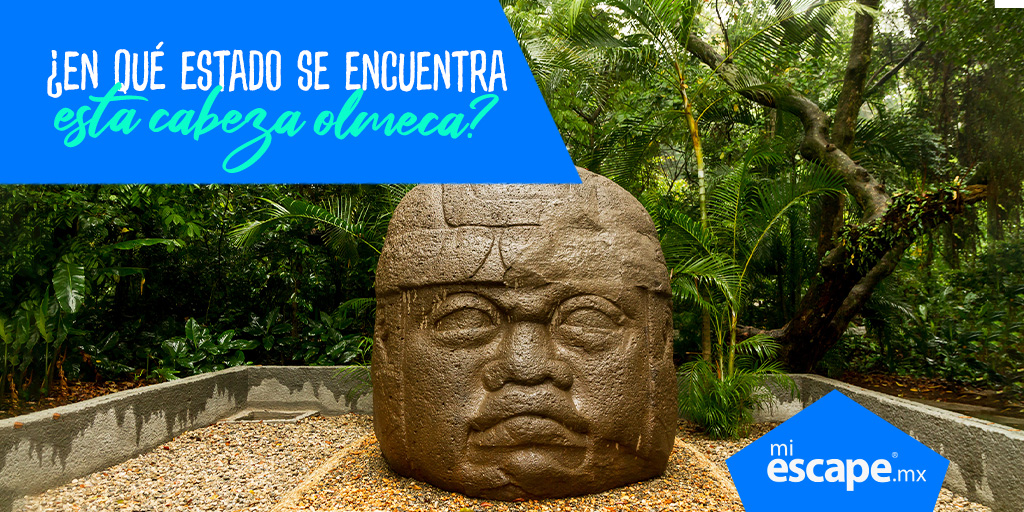 Las cabezas colosales olmecas son impresionantes y eran los retratos de los gobernantes. Descubre estas maravillas arqueológicas con nosotros. miescape.mx