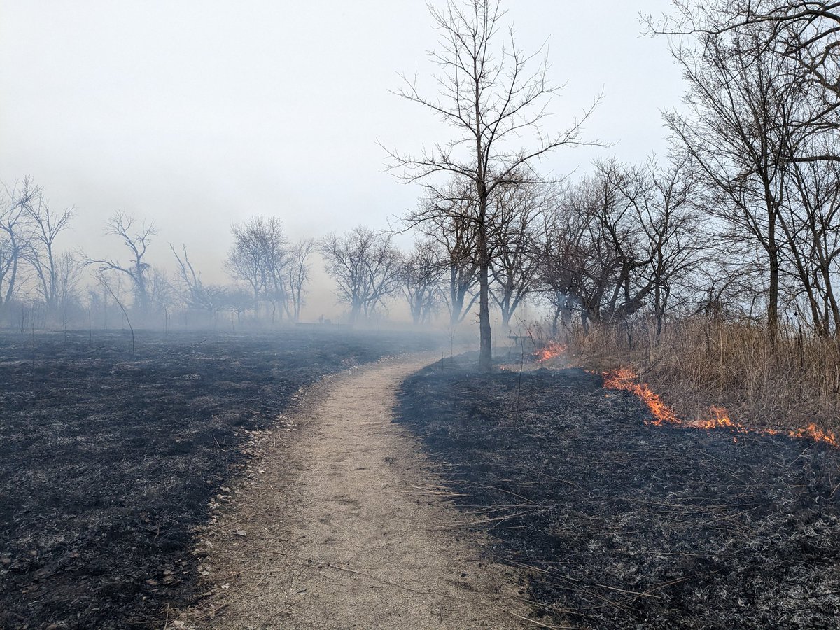 susannahribs's tweet photo. All the parks advocacy work I do is kind of a slog but the payoff is when you get 1 hour's notice of a prescribed burn at the #SouthShoreNatureSanctuary &amp; drop everything to show up and follow along. https://t.co/uC4dH4eRXQ