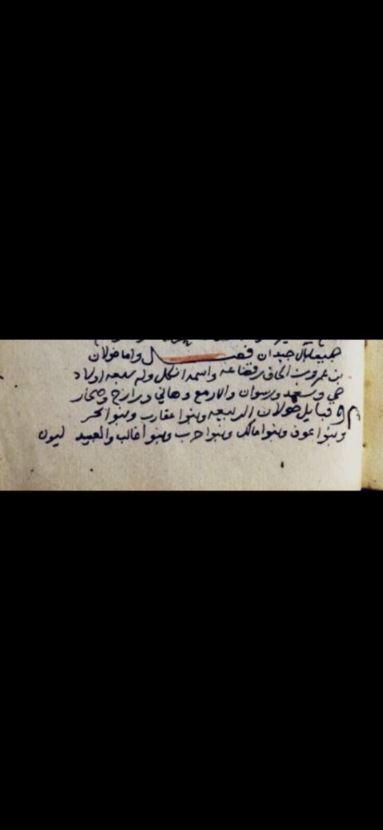 ksa_Gen7's tweet photo. الف مبروك نتائج خولان من قضاعة من حمير على التحور القضاعي الحميري FGC3723
قبائل خولان المذكورة في المخطوط
تكتلو على التحور القضاعي الحميري
العبدلي FGC3723  العقاربي FGC3723
ا��بحري FGC3723  الذويبي الحربي FGC3723
الرازحي FGC3723 ، السعدي FGC3723
السحاري FGC3723 , الازمعي ، الربيعي https://t.co/Y7IOHhlWjs
