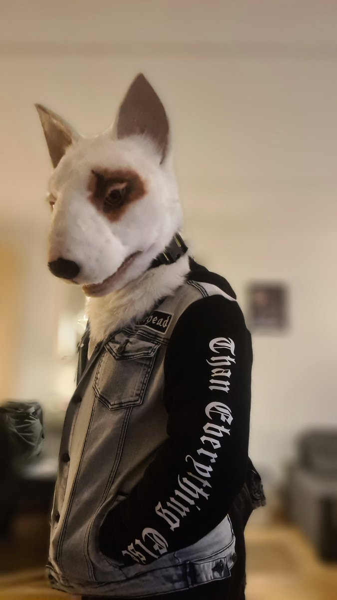 KenkoSW's tweet photo. Here it is!! And i love how it turned out, its my 2nd jeans hoody but 1st with band logo, super stoked about it π€π€©π€ #fursuit #metalfur #jeanshoodie #bullterrier #furryfandom https://t.co/drcifi1xt7