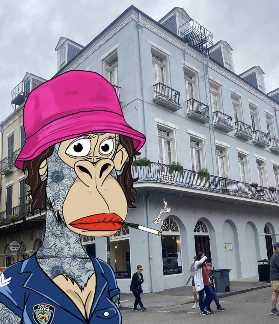 Next week marks one year working with <a href="/DApeWives/">Desperate ApeWives</a> …
And since I have zero patience’s for anything 🤣 I am doing a DAW -T-Shirt Giveaway!!!!

To enter:
A fun picture of your DAW doing something spontaneous! 
I will pick a winner later this week🦞💕