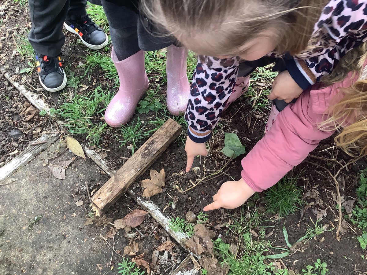 SomersEYFS's tweet photo. In our last ‘Welly Wednesday Walk’ of the term, we have been hunting for bugs. The moist ground and warm weather meant our Reception children found all kinds of creepy-crawlies! We looked under stones and bricks to find our mini friends. #EYFS #teamsomers https://t.co/bxL3yg0yyy