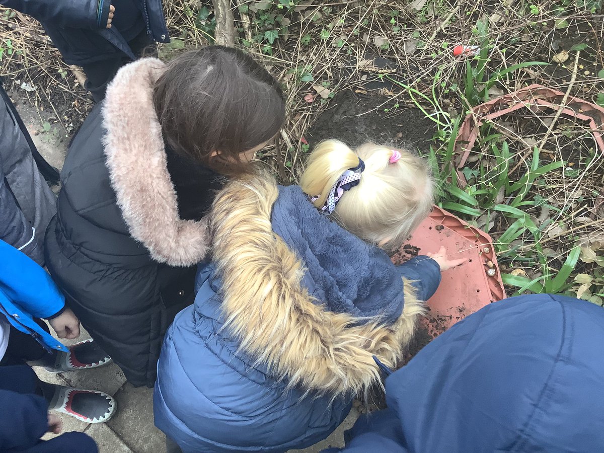 SomersEYFS's tweet photo. In our last ‘Welly Wednesday Walk’ of the term, we have been hunting for bugs. The moist ground and warm weather meant our Reception children found all kinds of creepy-crawlies! We looked under stones and bricks to find our mini friends. #EYFS #teamsomers https://t.co/bxL3yg0yyy