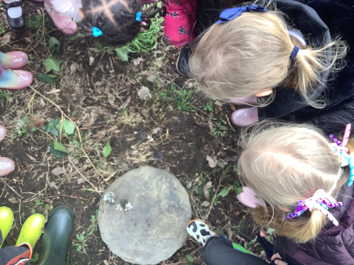 SomersEYFS's tweet photo. In our last ‘Welly Wednesday Walk’ of the term, we have been hunting for bugs. The moist ground and warm weather meant our Reception children found all kinds of creepy-crawlies! We looked under stones and bricks to find our mini friends. #EYFS #teamsomers https://t.co/bxL3yg0yyy