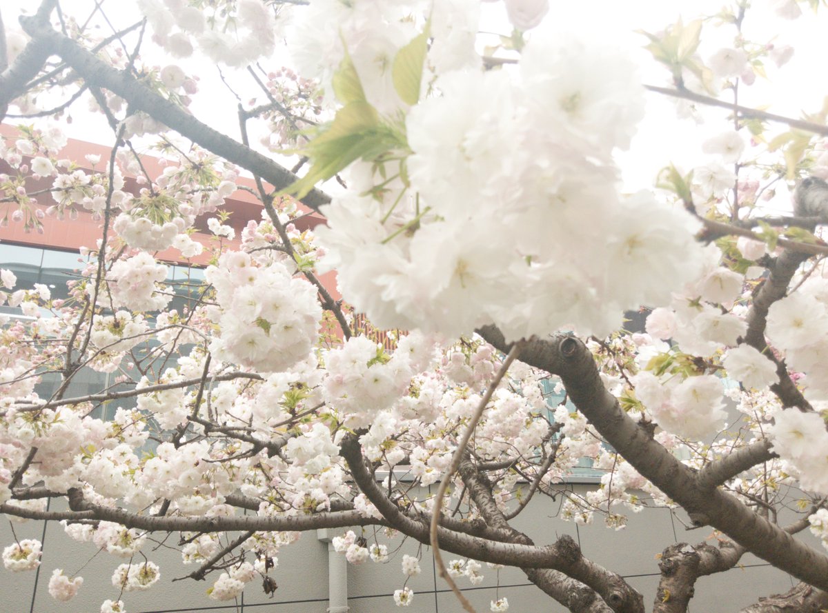 明明春天了，事还是很多