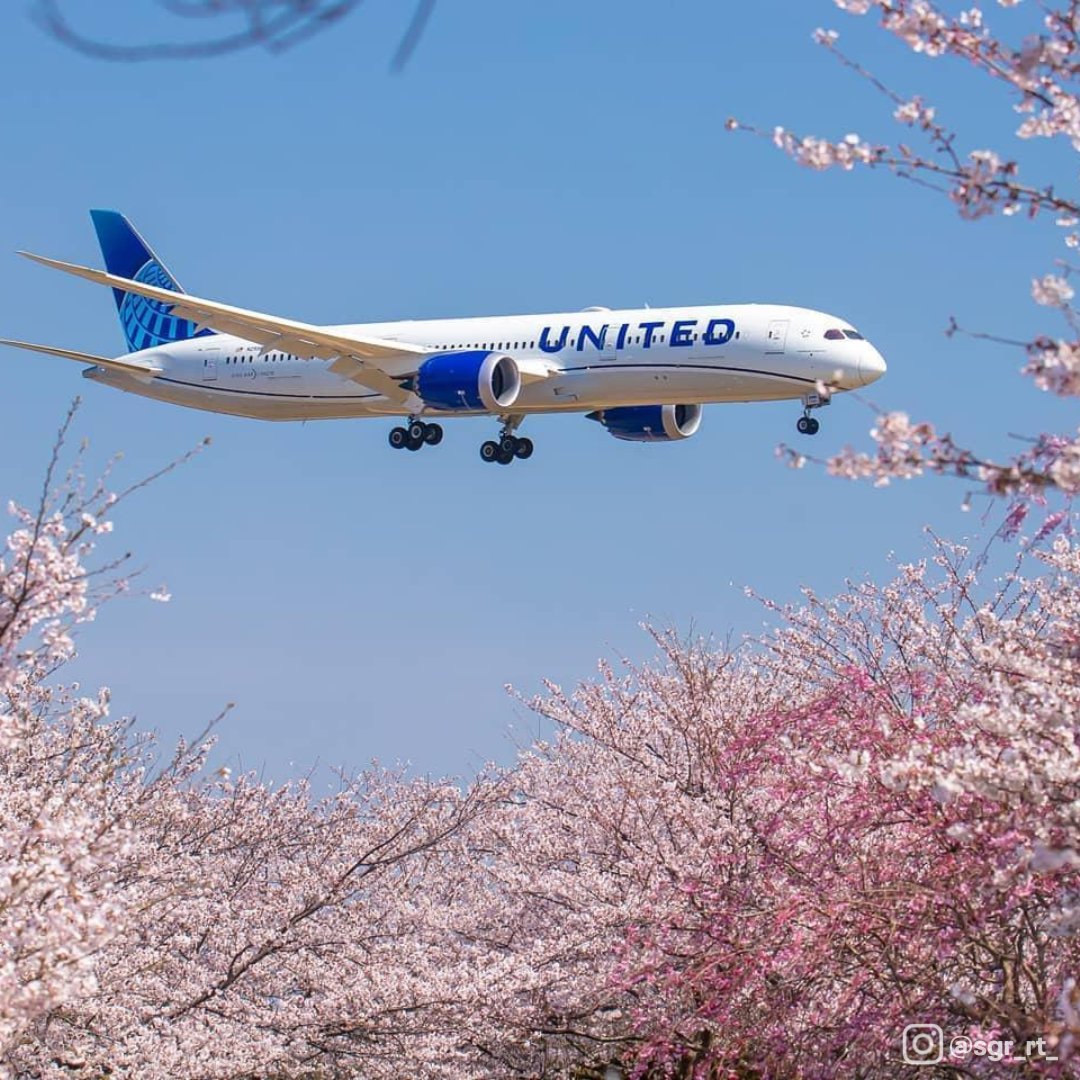 🌸 ✈️ 🌸 We're flying nonstop to Tokyo from Chicago, Denver, Houston, Los Angeles, New York/Newark, San Francisco (as well as SFO - Osaka) and Washington, D.C. and are celebrating with a sale: Flights are just 25,000 miles one-way. 🇯🇵 Taxes & fees apply. uafly.co/JapanSale