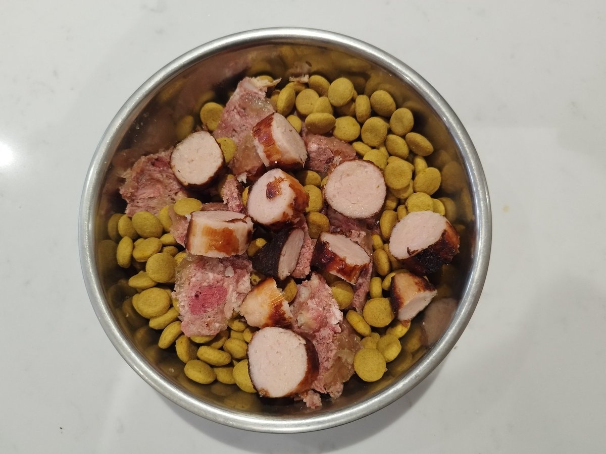 ZebedeeZebedog's tweet photo. Now I am Seven (!) A special day so I got birthday sausage with my dinner.  Yum yum. https://t.co/z89TTsTJeM